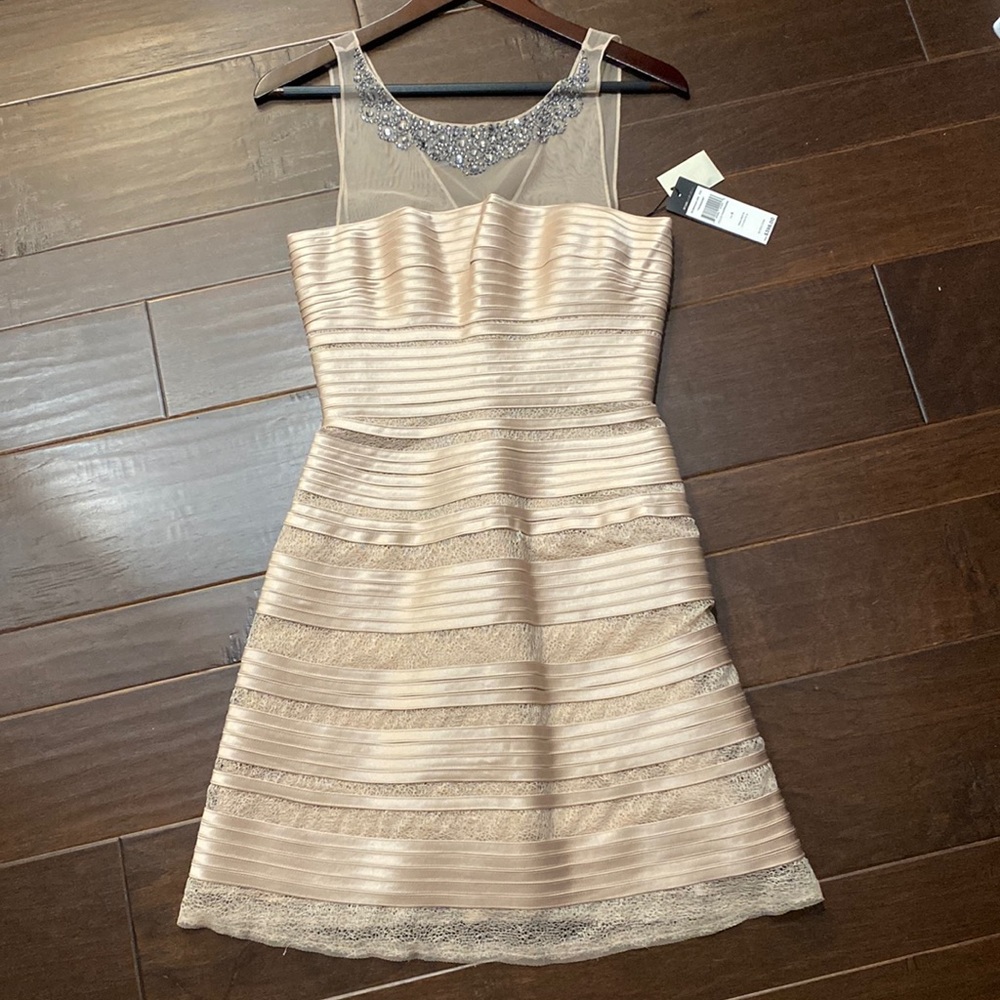 Brand new with tags. Never worn. BCBG MaxaZria dress